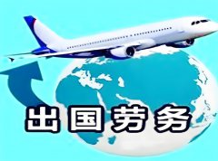 跨國(guó)企業人力資源管理(lǐ)的多(duō)維策略