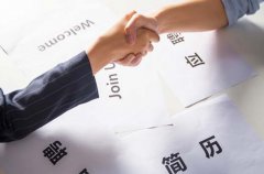 解析人力資源服務(wù)的獨特領域——不涉及職業中(zhōng)介和勞務(wù)派遣的範疇