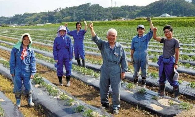 日本勞務(wù)派遣農業類、食品加工(gōng)、建築業、電(diàn)子業招聘